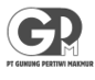 Logo GPM